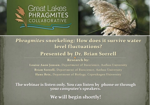 Webinars | Great Lakes Phragmites Collaborative