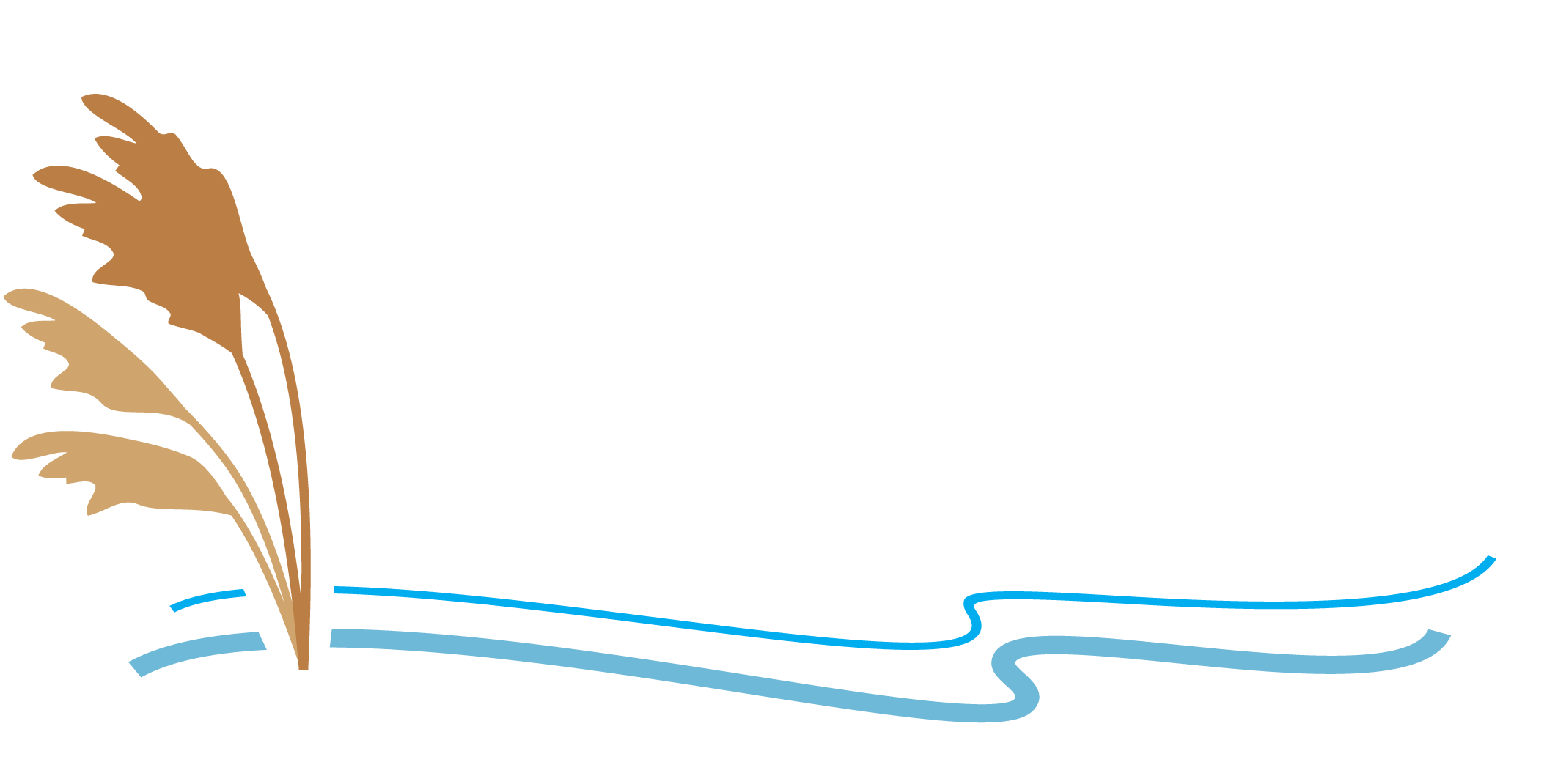 Great Lakes Phragmites Collaborative | Linking people, information & action