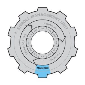 Phragmites Adaptive Management Framework (PAMF): Landing Page | Great ...